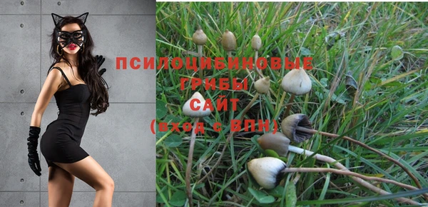 тгк Белокуриха