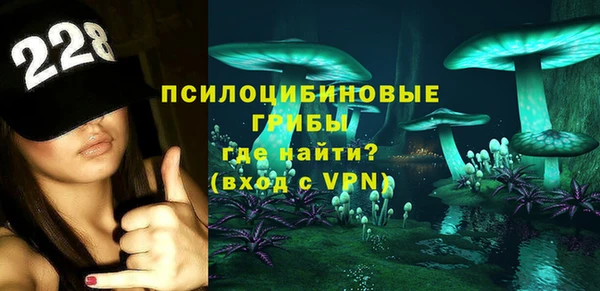 тгк Белокуриха